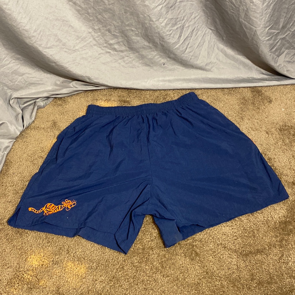 Vintage Y2k Tigger Disney Sport Shorts